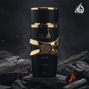 612bbmyhR5L._AC_SL1000_ Asad