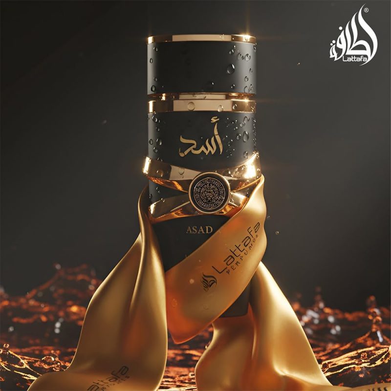 617+utqUyPL._AC_SL1000_ Asad