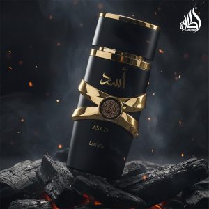 61pIyECHUQL._AC_SL1000_ Asad