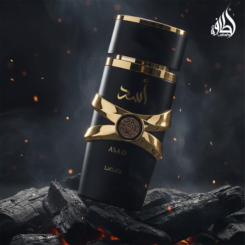 61pIyECHUQL._AC_SL1000_ Asad